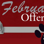 February-Discount-The-Cat-and-Firenze